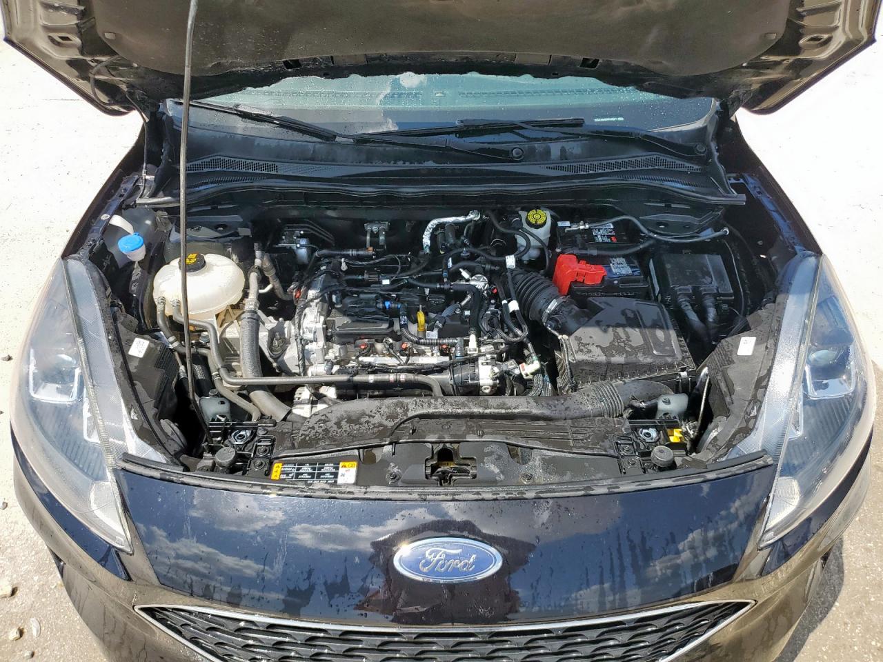 2021 Ford Escape Sel VIN: 1FMCU9H66MUA65511 Lot: 69248505