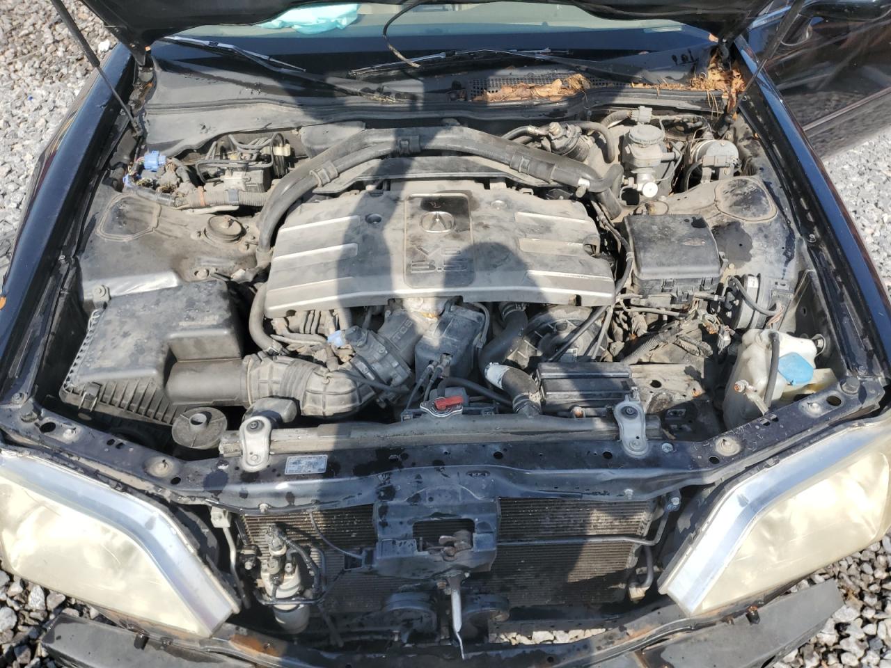 2002 Acura 3.5Rl VIN: JH4KA96592C015271 Lot: 69316325