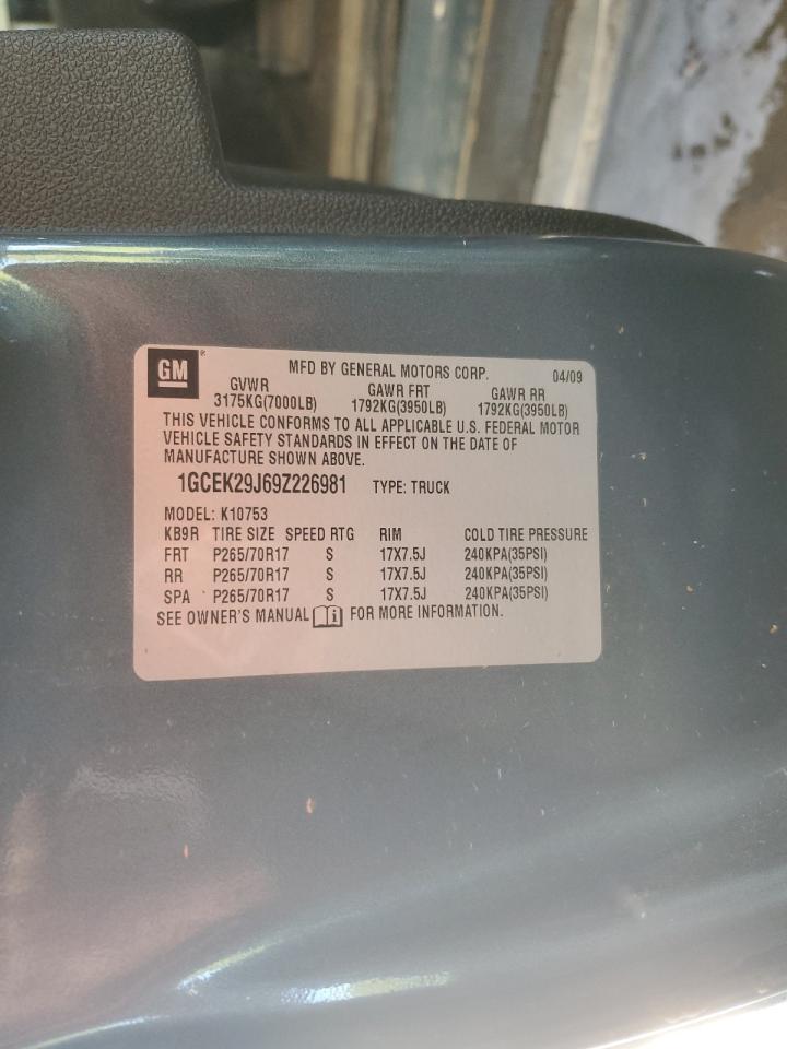 2009 Chevrolet Silverado K1500 Lt VIN: 1GCEK29J69Z226981 Lot: 70117045