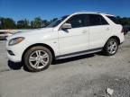 2012 MERCEDES-BENZ ML 350 4MATIC   à vendre chez Copart SC - SPARTANBURG
