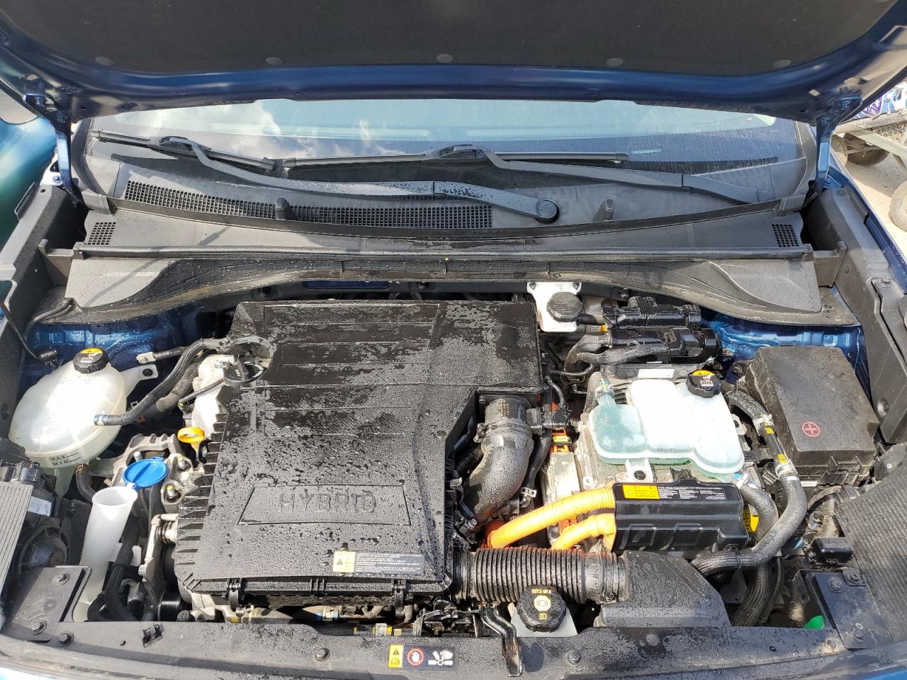 2018 Kia Niro Fe VIN: KNDCB3LC0J5124031 Lot: 69423285