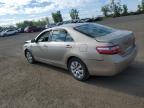 2009 TOYOTA CAMRY BASE   à vendre chez Copart QC - MONTREAL