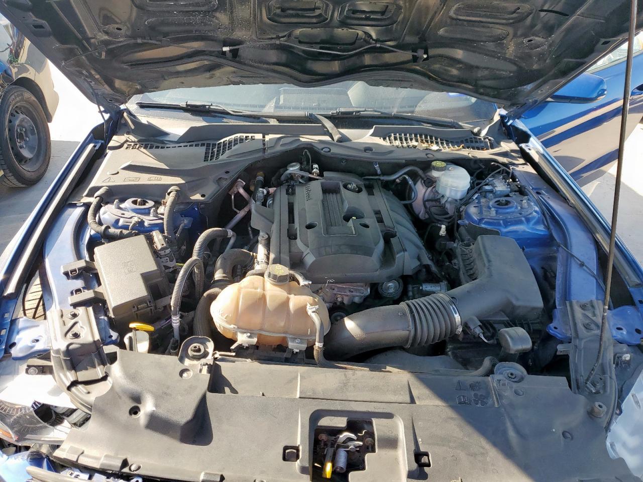 2018 Ford Mustang VIN: 1FA6P8TH4J5175688 Lot: 69191585