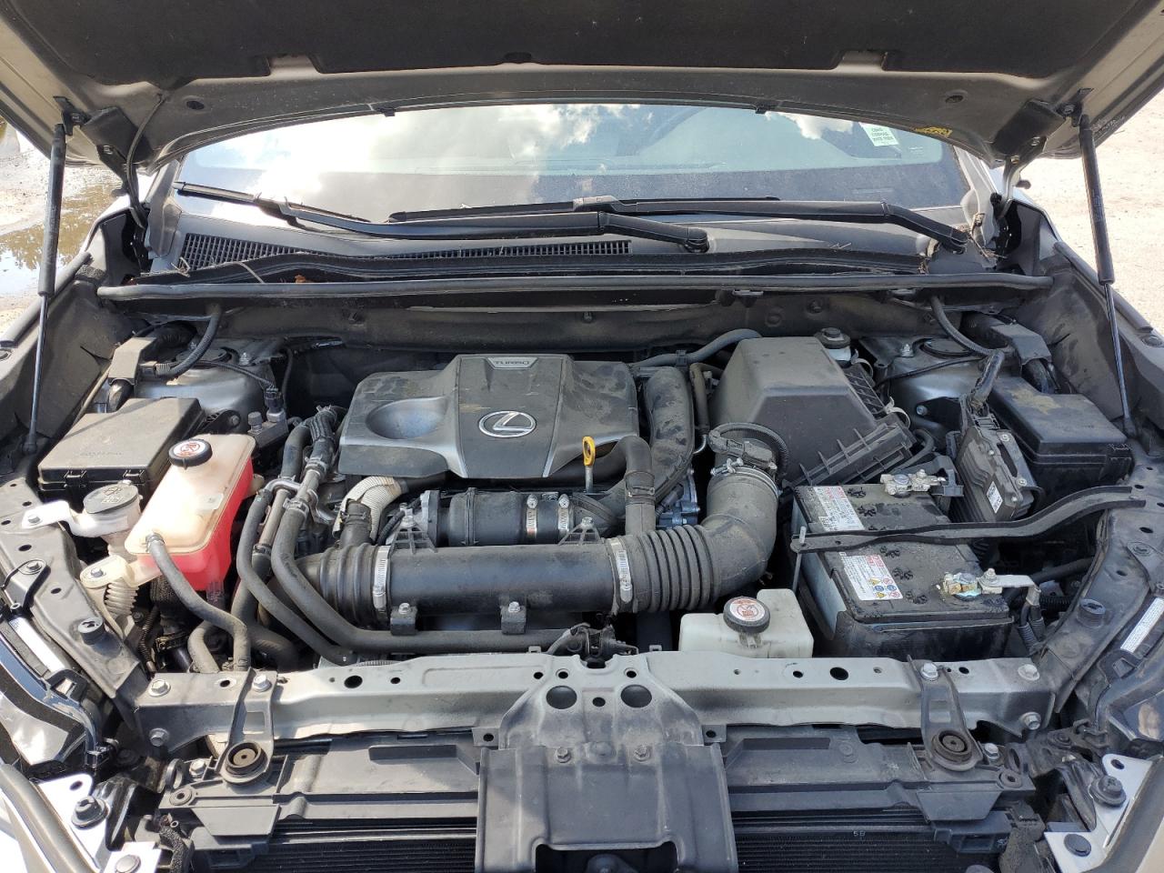 2019 Lexus Nx 300 Base VIN: JTJYARBZ5K2116928 Lot: 69312115