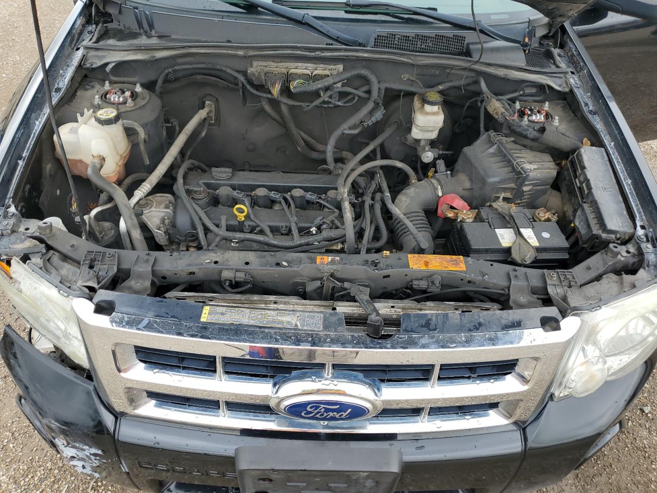 2012 Ford Escape Xlt VIN: 1FMCU9D74CKA52636 Lot: 69207645