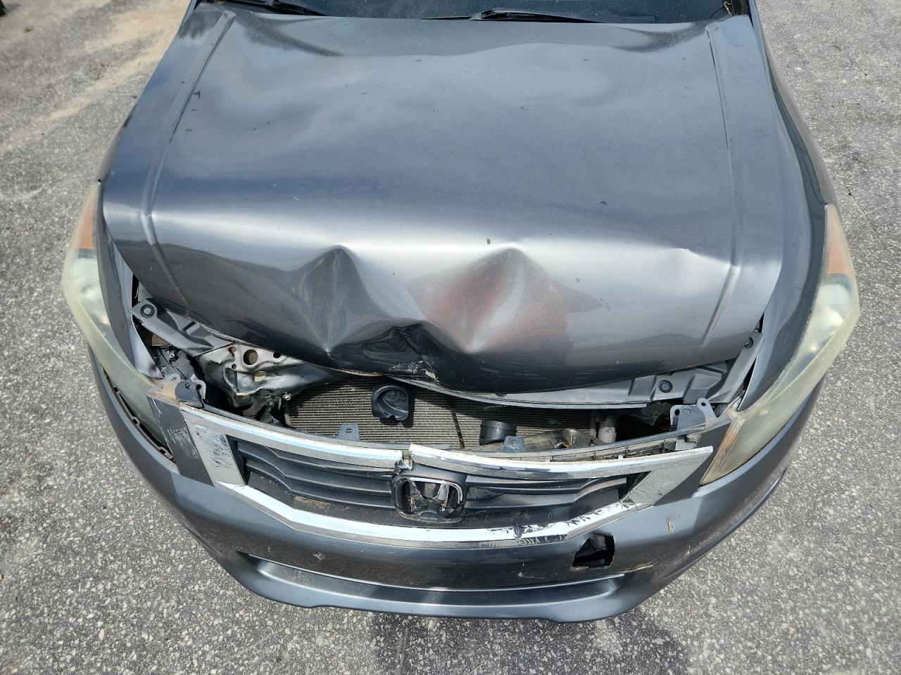 2009 Honda Accord Exl VIN: 1HGCP36849A000681 Lot: 68950495