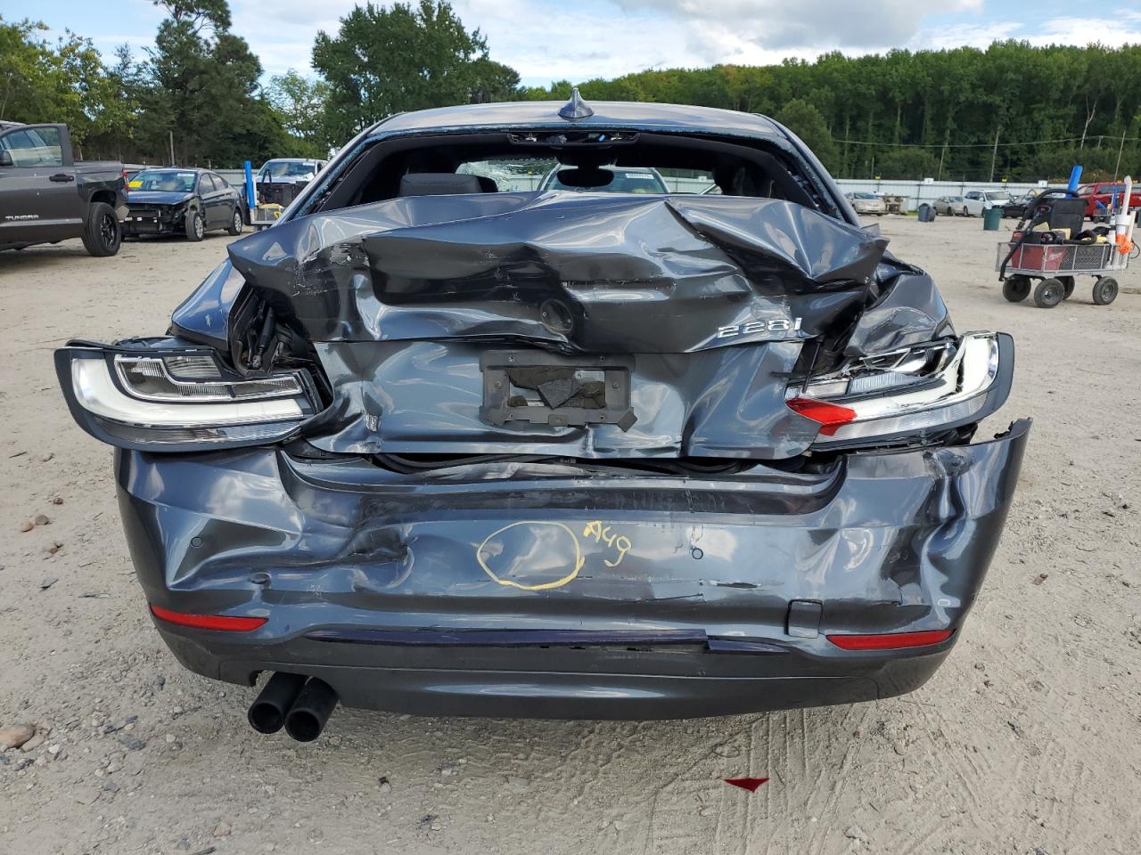 2016 BMW 228 I VIN: WBA1F5C51GV343711 Lot: 68647395