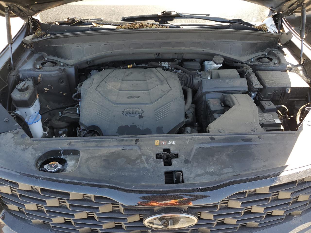 2021 Kia Telluride Ex VIN: 5XYP3DHC9MG164228 Lot: 67849845