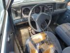 1985 FORD BRONCO II    à vendre chez Copart CO - COLORADO SPRINGS