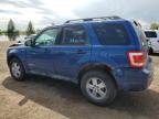 2008 FORD ESCAPE XLT   à vendre chez Copart AB - CALGARY