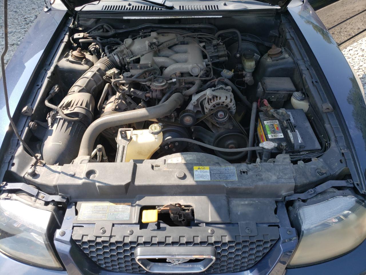 2001 Ford Mustang VIN: 1FAFP44411F177879 Lot: 67765685