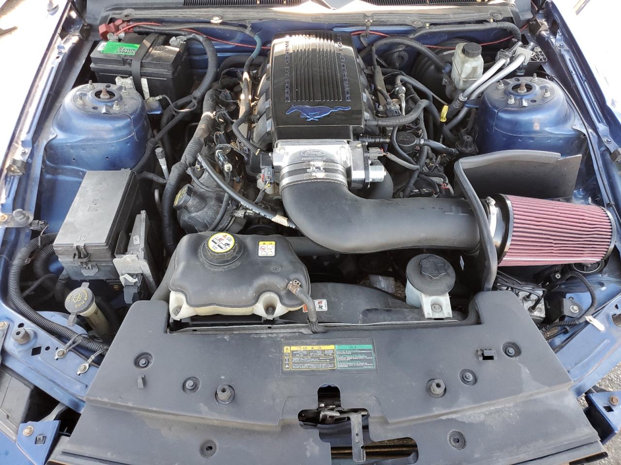 2009 Ford Mustang Gt VIN: 1ZVHT82HX95135172 Lot: 68513975