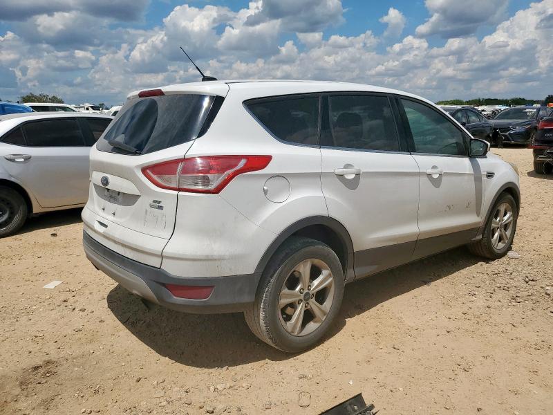  FORD ESCAPE 2016 Белы