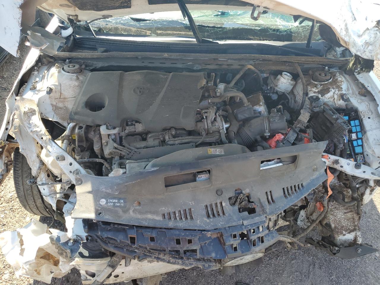 2019 Toyota Camry L VIN: 4T1B11HK9KU769783 Lot: 68996215