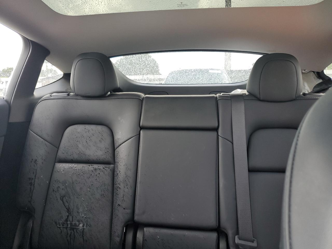 2023 Tesla Model Y VIN: 7SAYGDEF8PF611802 Lot: 69356385