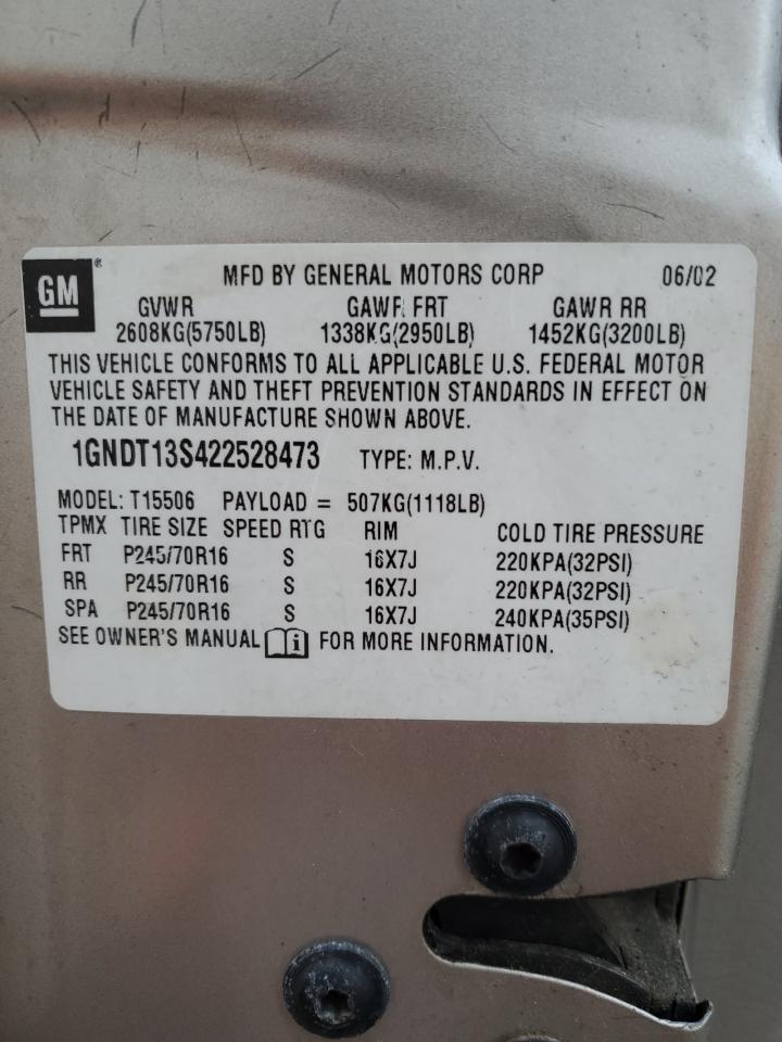 2002 Chevrolet Trailblazer VIN: 1GNDT13S422528473 Lot: 70820835