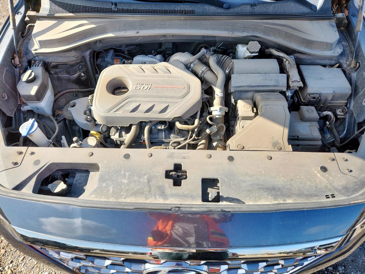 2020 Hyundai Santa Fe Limited VIN: 5NMS53AA6LH294351 Lot: 70368985