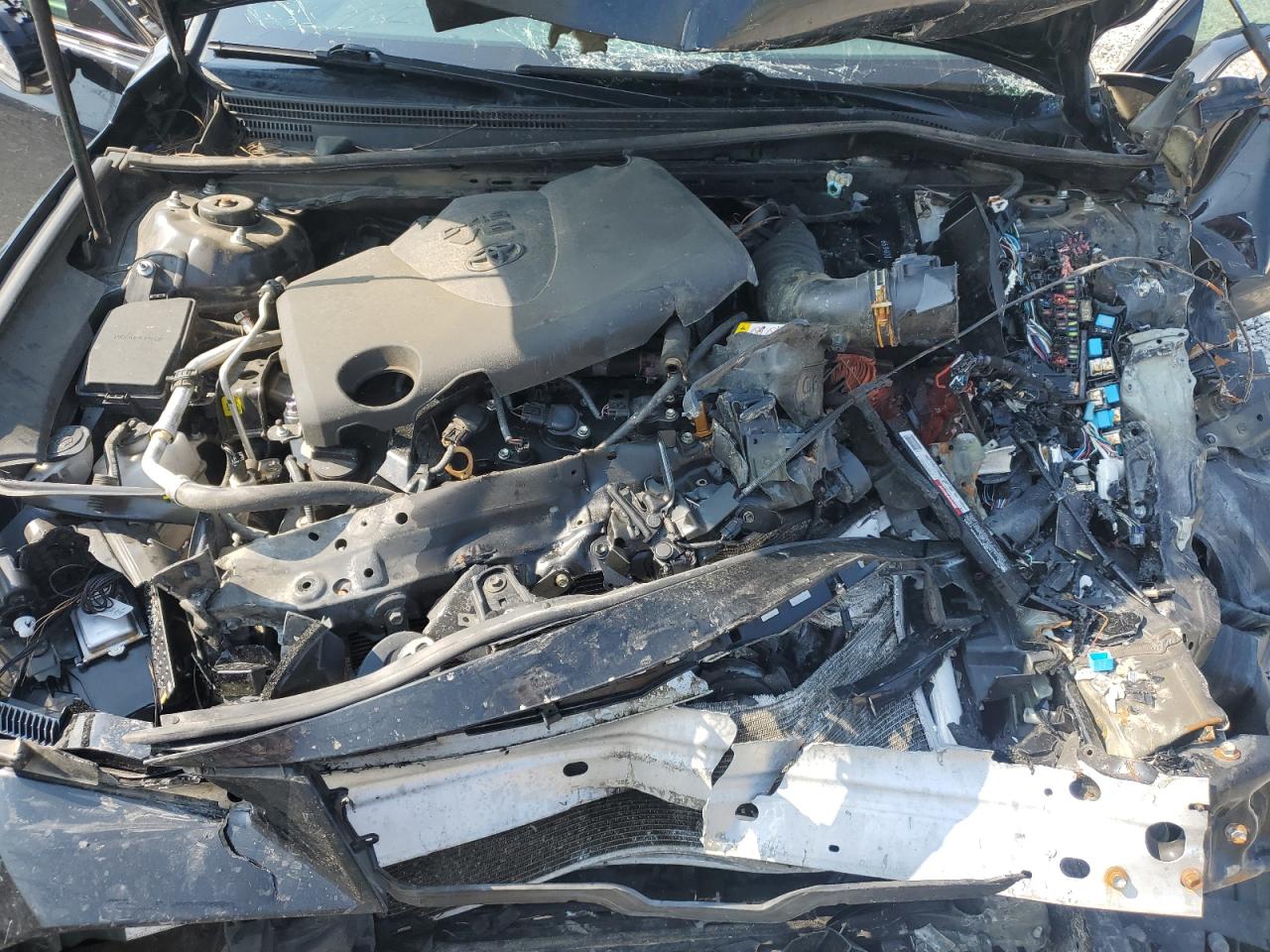 2021 Toyota Avalon Trd VIN: 4T1FZ1FB7MU066196 Lot: 69294565