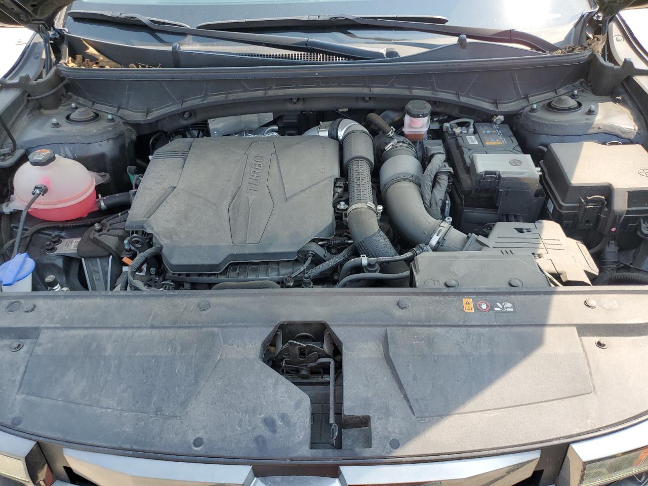 2023 Hyundai Santa Cruz Night VIN: 5NTJCDAF8PH060354 Lot: 66667445