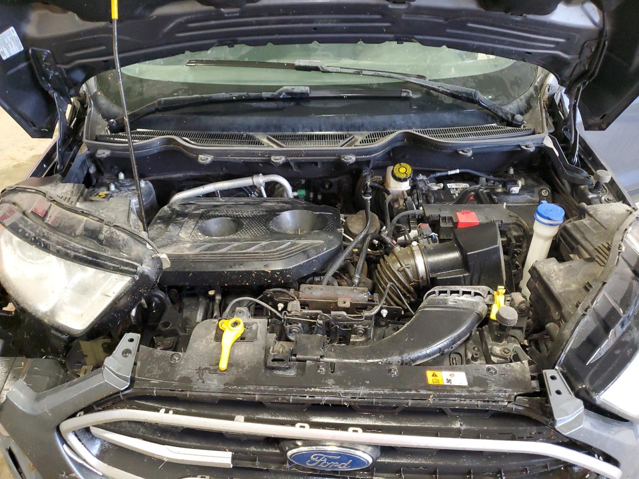 2019 Ford Ecosport Se VIN: MAJ6S3GL5KC299725 Lot: 69927095