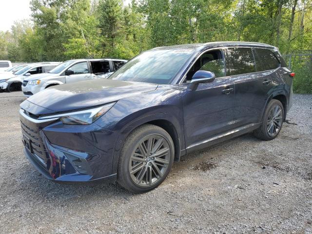 2024 LEXUS TX 350 BASE   for sale at Copart ON - COOKSTOWN