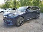2024 LEXUS TX 350 BASE   for sale at Copart ON - COOKSTOWN