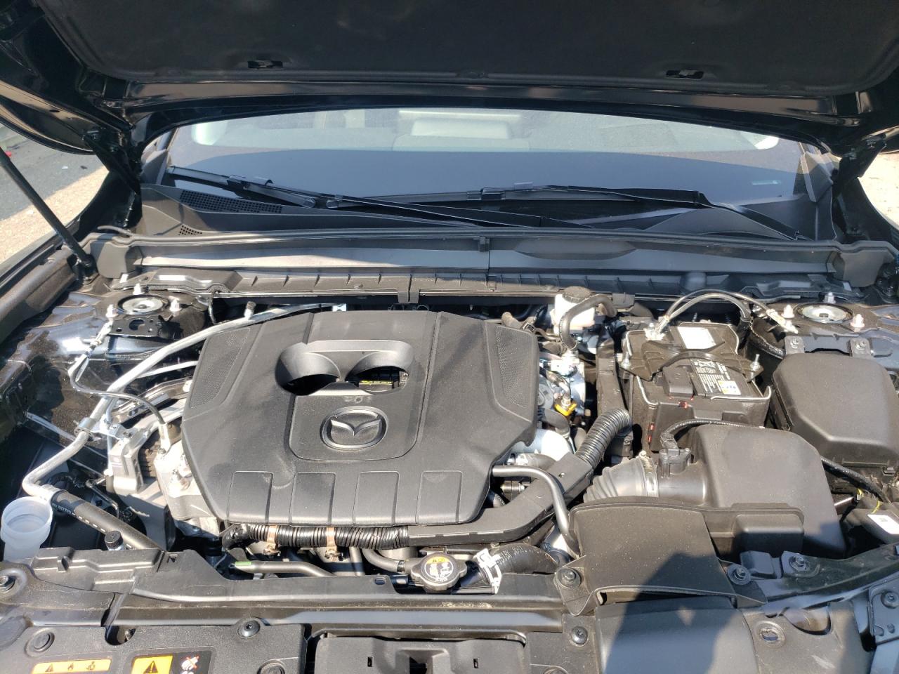 2025 Mazda Cx-50 Premium Plus VIN: 7MMVABEM9SN370704 Lot: 67995445