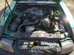 2001 FORD MUSTANG    for sale at Copart AB - EDMONTON