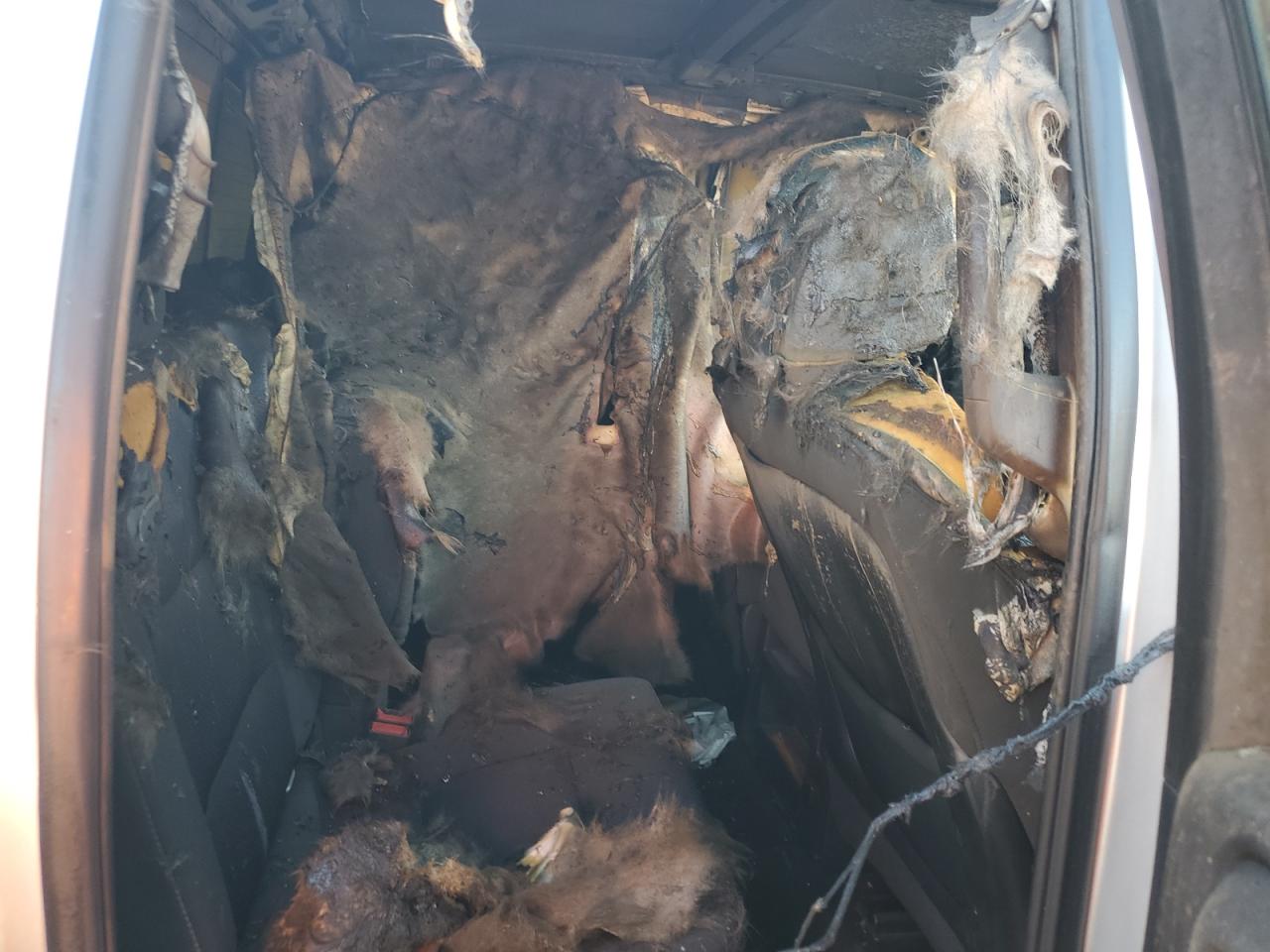 2014 Chevrolet Silverado C1500 Lt VIN: 1GCRCREC1EZ339083 Lot: 70364755