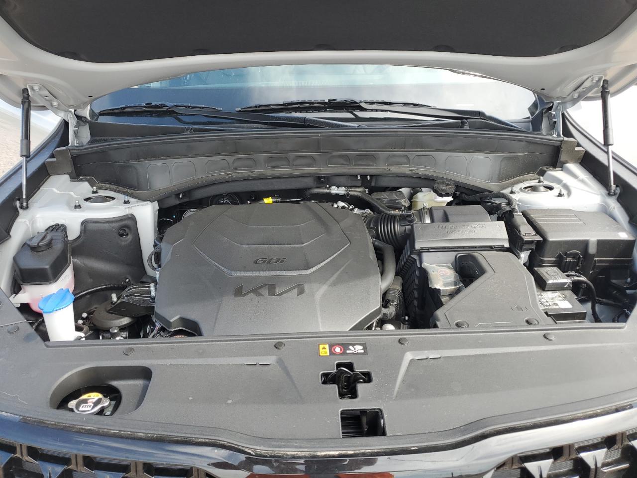 2025 Kia Telluride Ex VIN: 5XYP3DGC6SG671215 Lot: 69639635