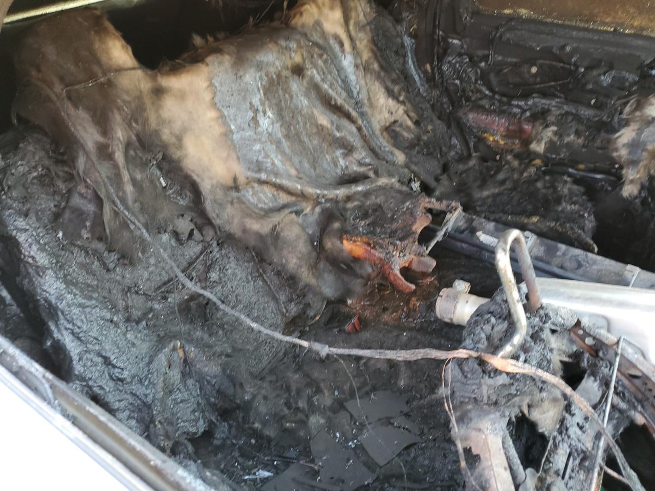 2020 Jeep Cherokee Latitude Plus VIN: 1C4PJMLBXLD589720 Lot: 68506975