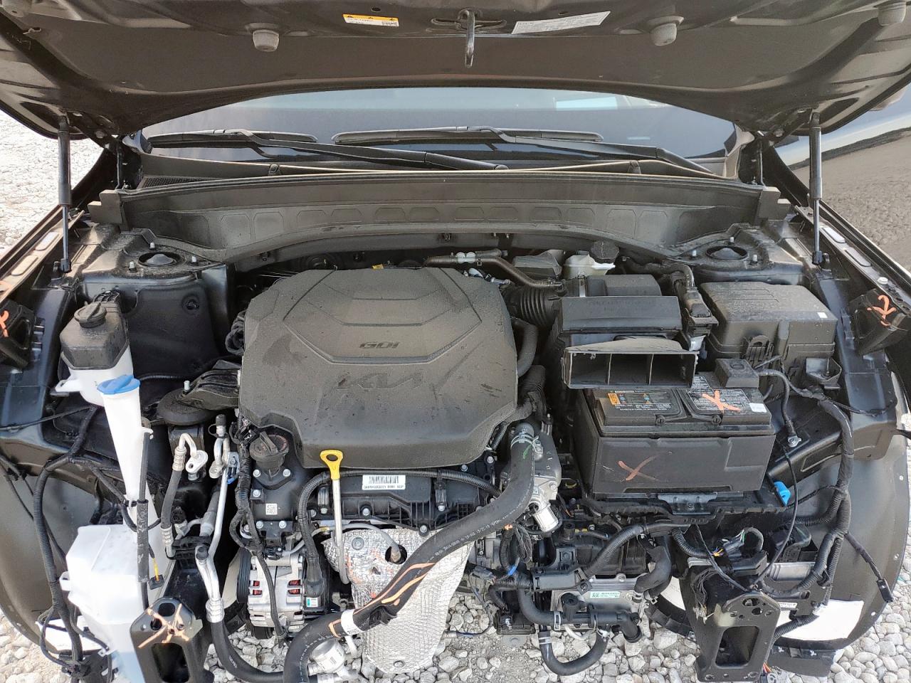 2025 Kia Telluride Sx VIN: 5XYP5DGC1SG609070 Lot: 70580615