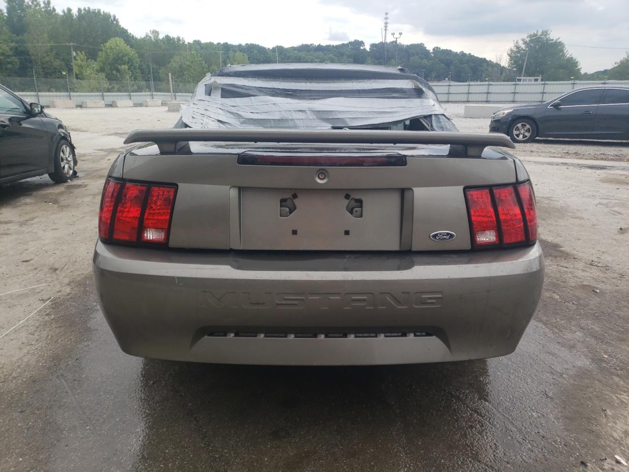 2001 Ford Mustang VIN: 1FAFP44421F208542 Lot: 70251345