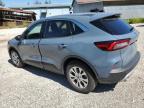 2024 FORD ESCAPE ACTIVE   à vendre chez Copart AB - CALGARY