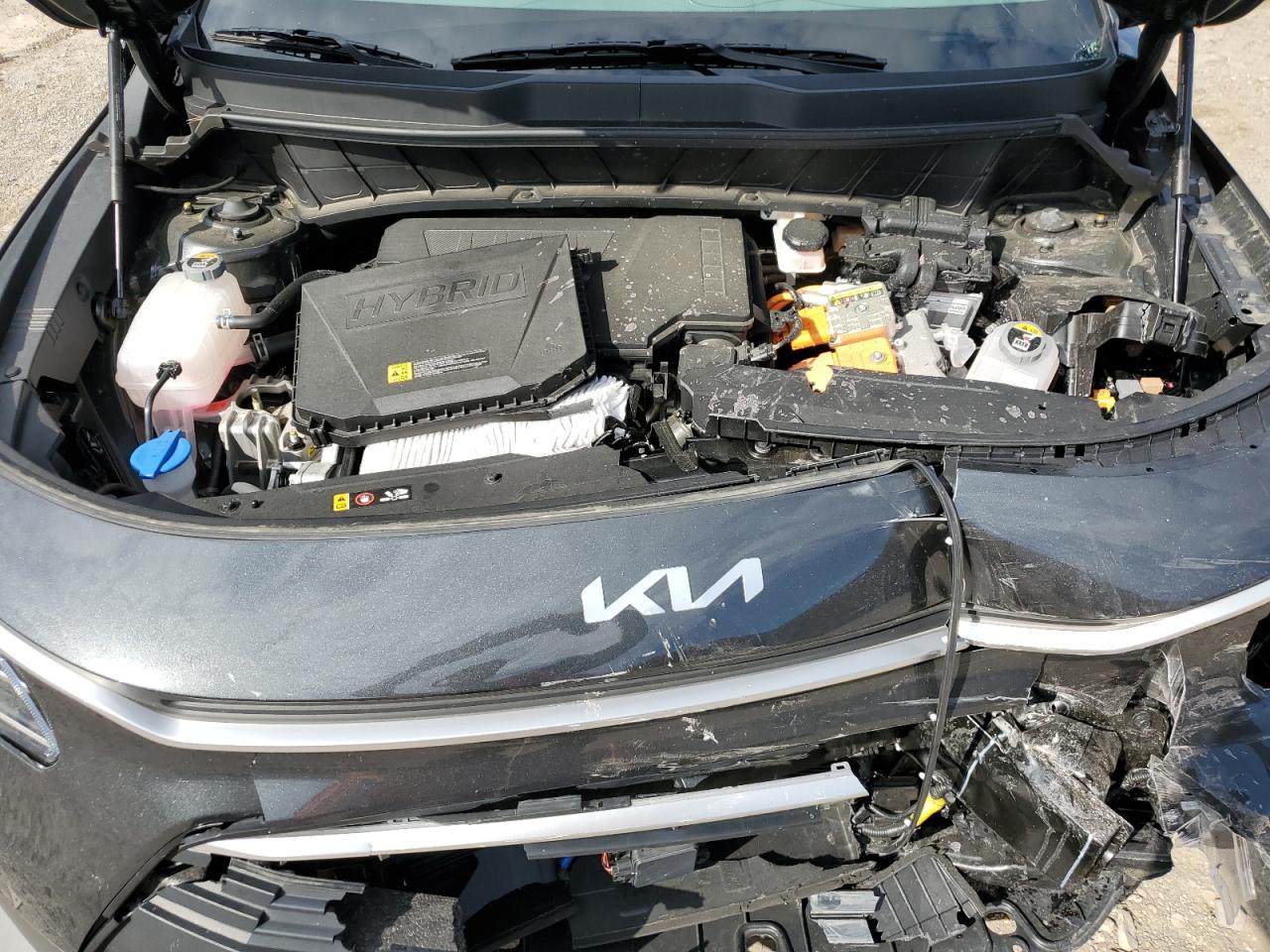 2024 Kia Niro Ex VIN: KNDCR3LE7R5170187 Lot: 70420355