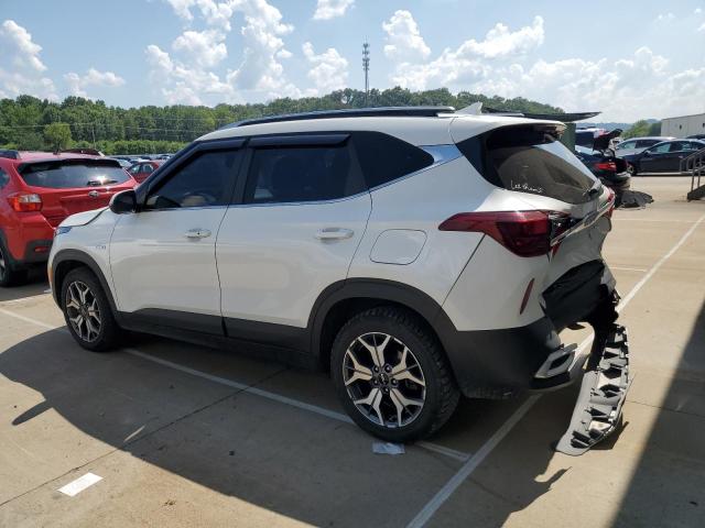  KIA SELTOS 2023 Белы