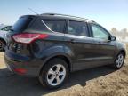 2014 FORD ESCAPE SE   à vendre chez Copart AB - CALGARY