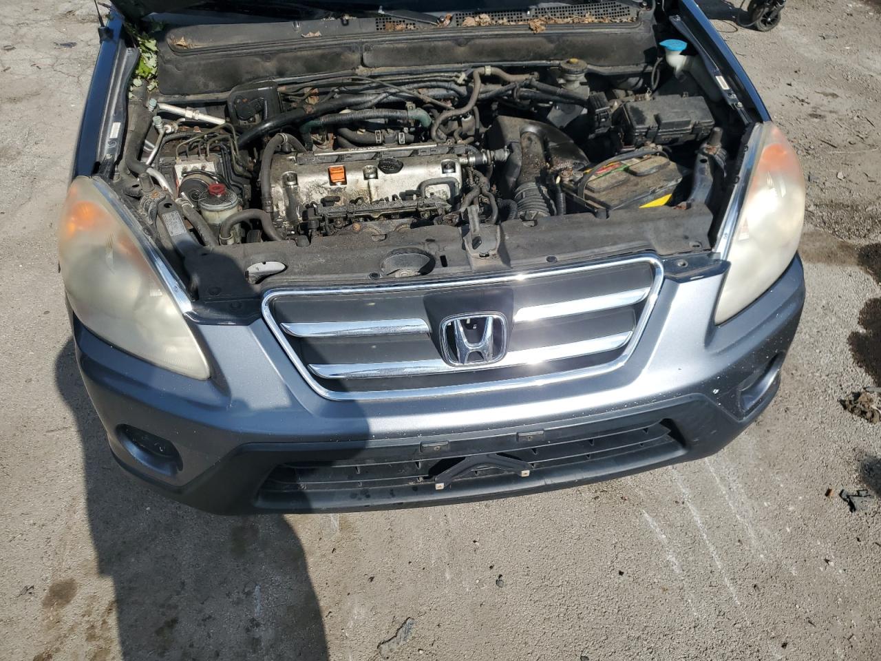 2005 Honda Cr-V Se VIN: JHLRD789X5C003732 Lot: 68888635