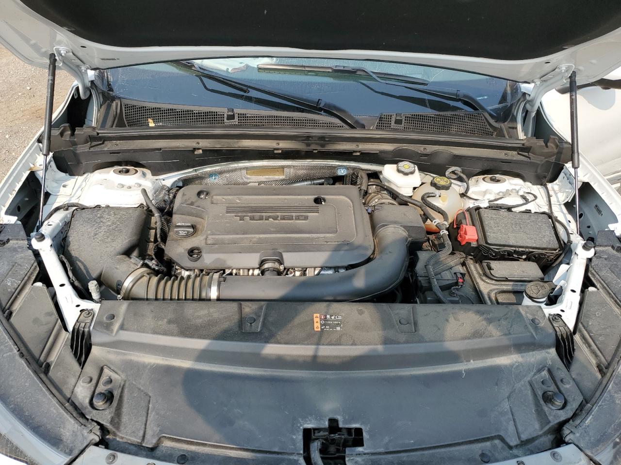 2023 Buick Envision Avenir VIN: LRBFZSR42PD082770 Lot: 67437205