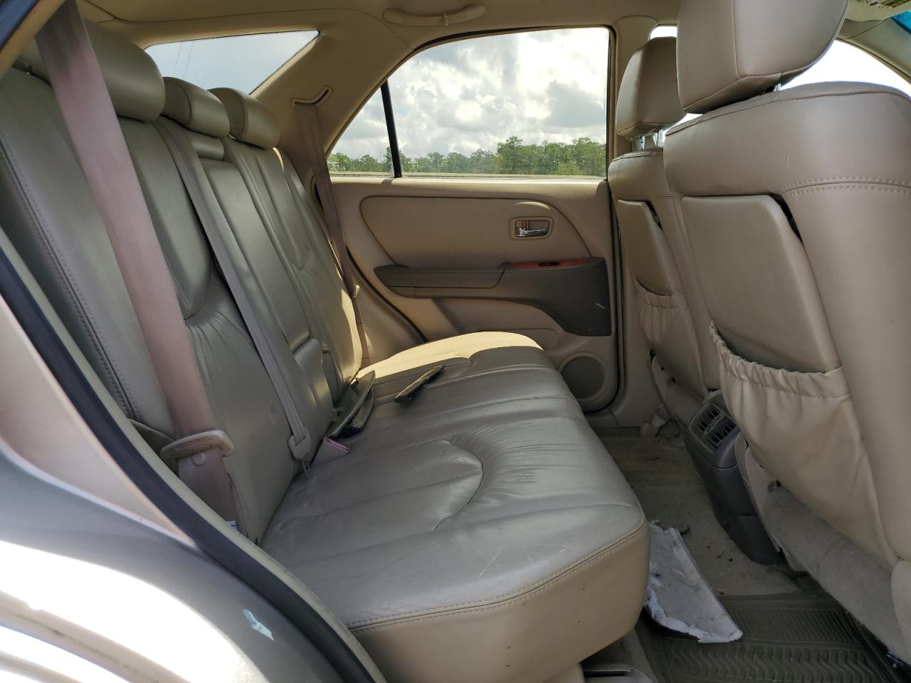 2002 Lexus Rx 300 VIN: JTJGF10U420127565 Lot: 68744455