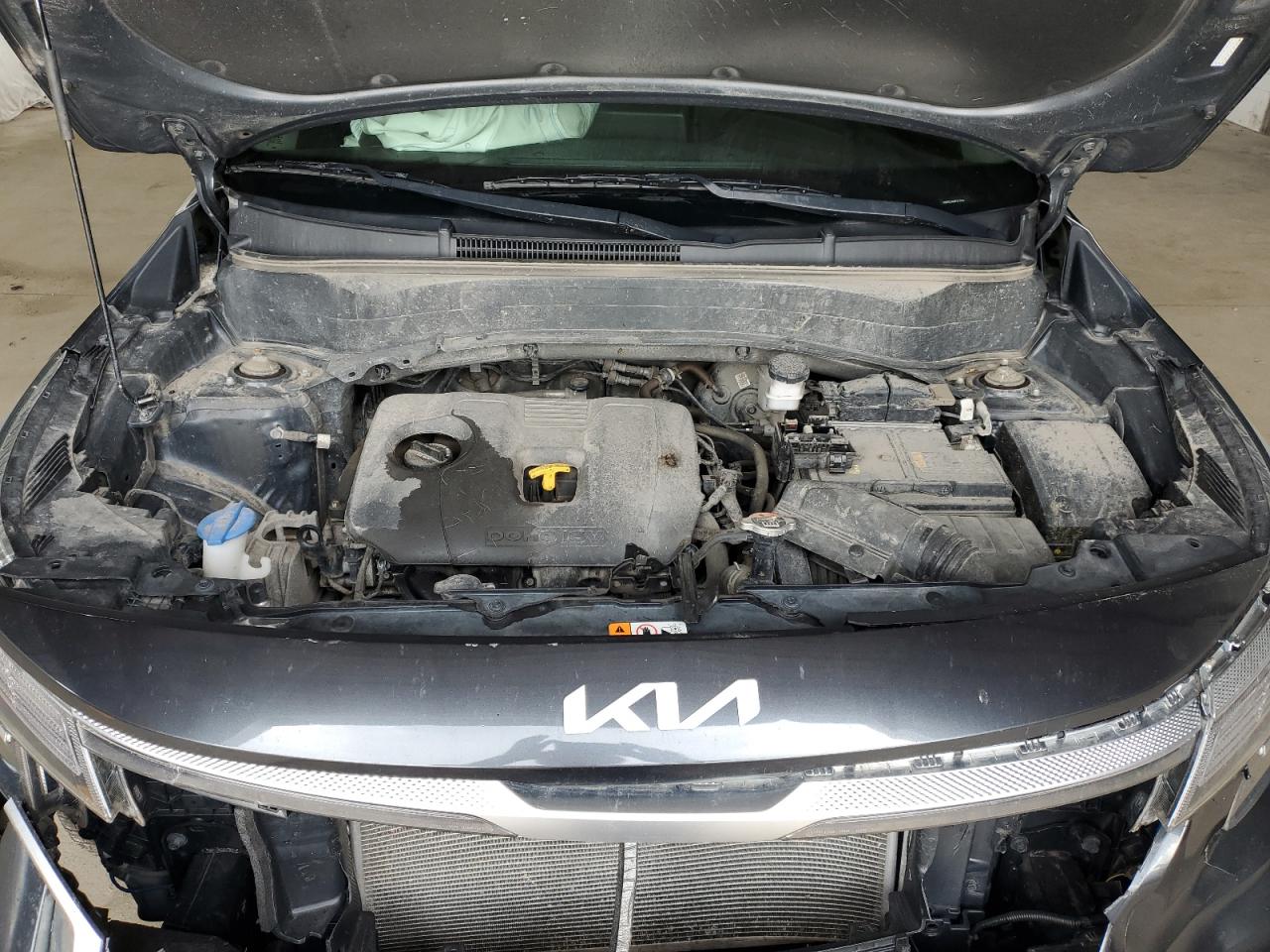 2022 Kia Seltos Ex VIN: KNDERCAA0N7277055 Lot: 66629885