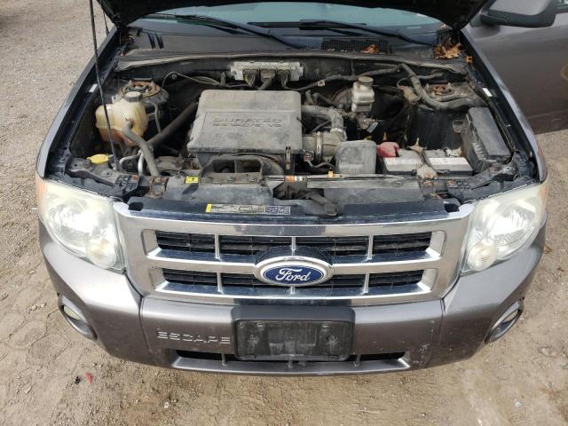 2009 FORD ESCAPE XLT  