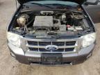 2009 FORD ESCAPE XLT   à vendre chez Copart ON - LONDON