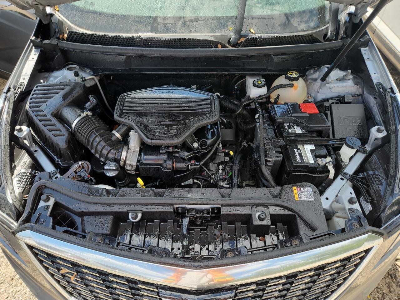 2021 Cadillac Xt5 Premium Luxury VIN: 1GYKNDRS6MZ104025 Lot: 69001575