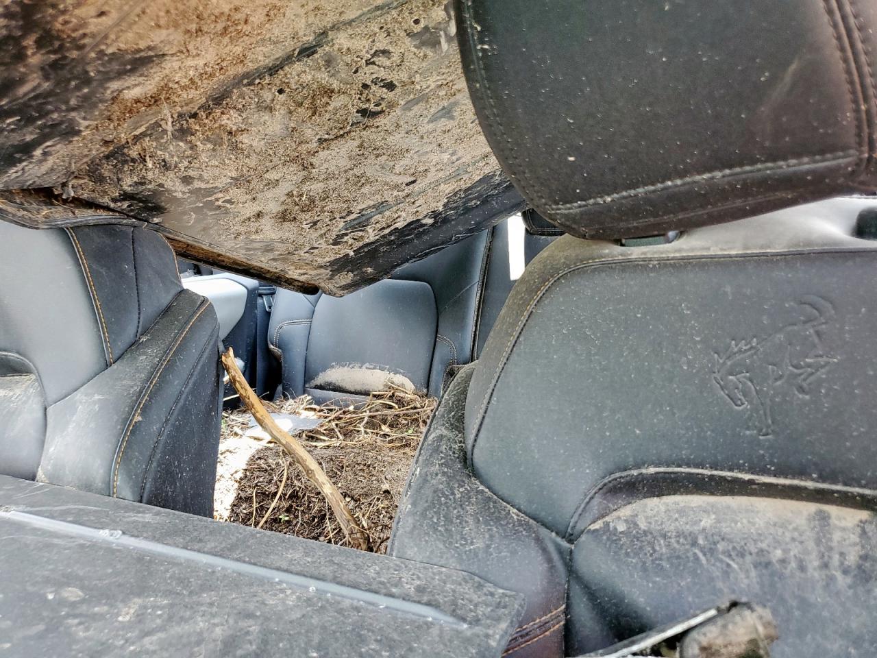 2023 Ford Bronco Base VIN: 1FMEE5DP1PLC02975 Lot: 69251805