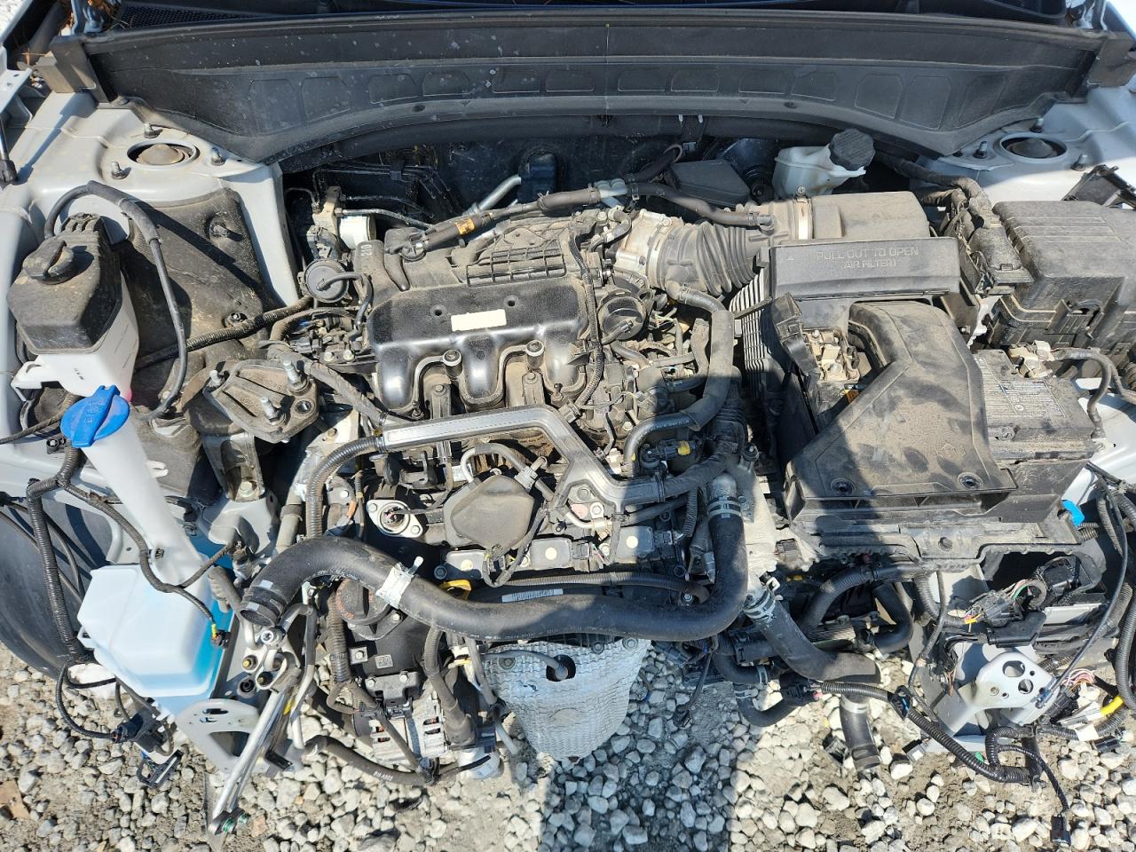 2023 Kia Telluride Sx VIN: 5XYP5DGC8PG370107 Lot: 69738735