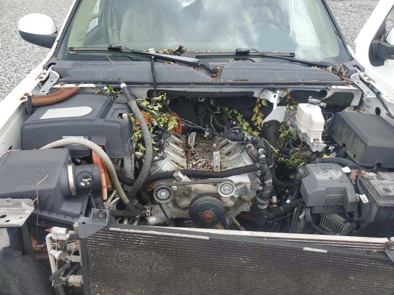 2008 Chevrolet Tahoe C1500 Hybrid VIN: 1GNFC13598R198610 Lot: 69704295