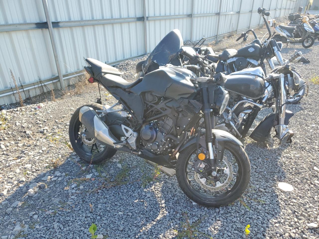 2024 Honda Cbf300 Na black null gas MLHNC5559R5400280 photo #1