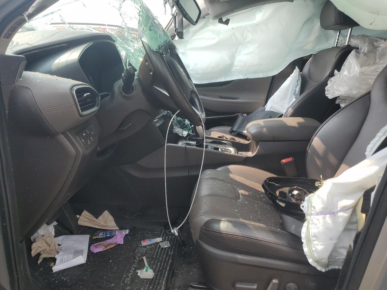 2020 Hyundai Santa Fe Sel VIN: 5NMS3CAD9LH262736 Lot: 67352485