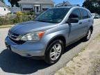 2010 HONDA CR-V EX   for sale at Copart MA - SOUTH BOSTON